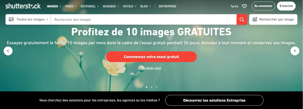 Le site web de Shutterstock.