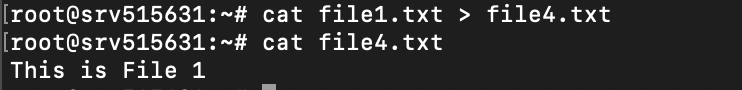 Fenêtre du terminal montrant la sortie de la commande cat pour rediriger les données du fichier 1 vers le fichier 4