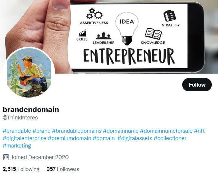 Profil Twitter de Thinkinteres, publiant du contenu sur revente nom de domaine