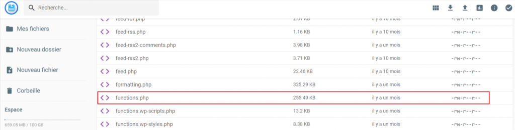 Accès à Functions.php via le gestionnaire de fichiers de hPanel
