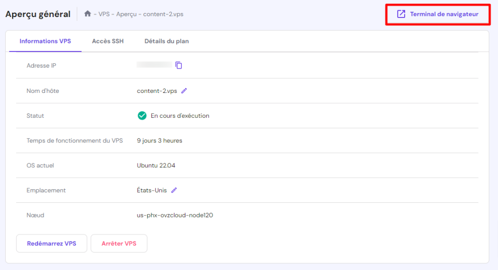 Le bouton du terminal de navigateur dans le menu d'aperçu du VPS de hPanel