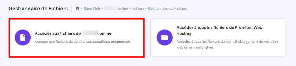 La section Gestionnaire de fichiers dans hPanel