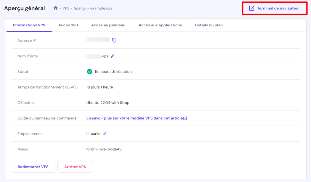 Tableau de bord de l'hébergement VPS Hostinger mettant en évidence l'accès au terminal du navigateur