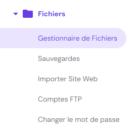 L'option Gestionnaire de fichiers sur hPanel