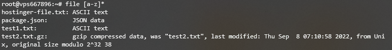 Lister les types de fichiers dans un intervalle en utilisant la commande Linux file sur Terminal