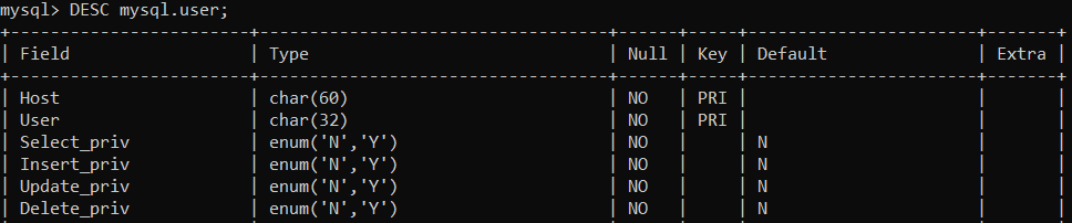 Requête MySQL pour prévisualiser les colonnes de la table utilisateur.