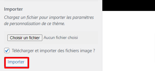 Page d'importation dans le personnalisateur de thème WordPress