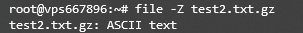 Afficher le type d'un fichier à l'aide de la commande Linux file dans le terminal