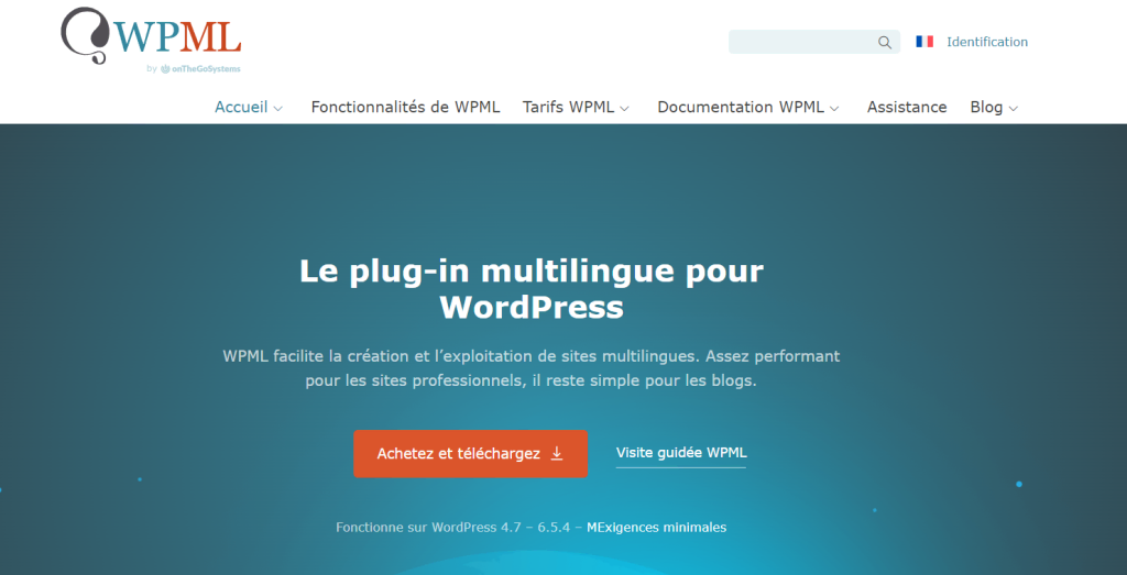 Page d'accueil de WPML