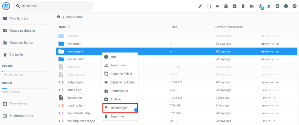 Télécharger le fichier wp-content
