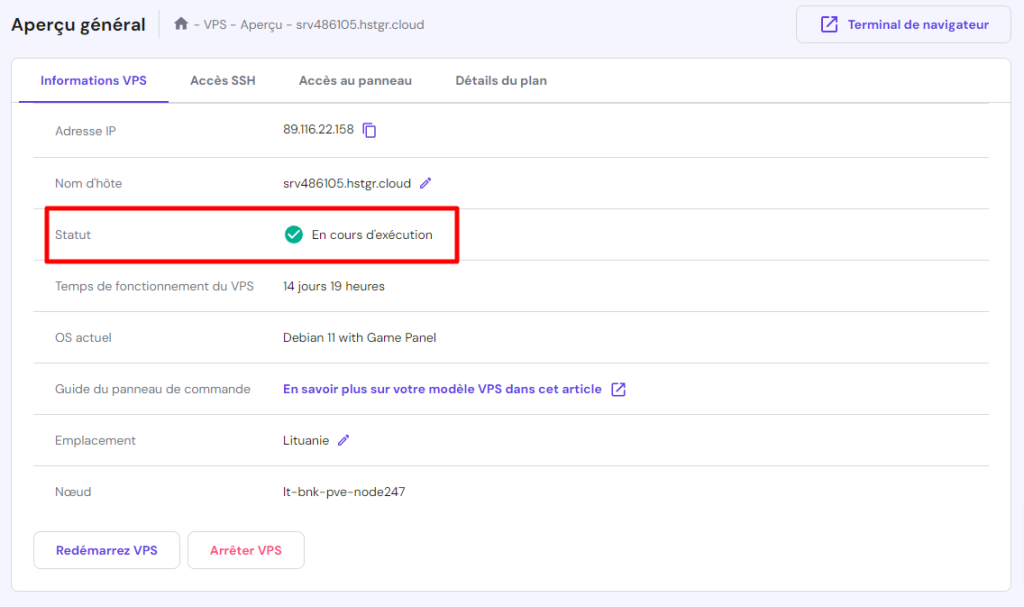 Vérifier l'état du serveur dans l'onglet d'information VPS de hPanel