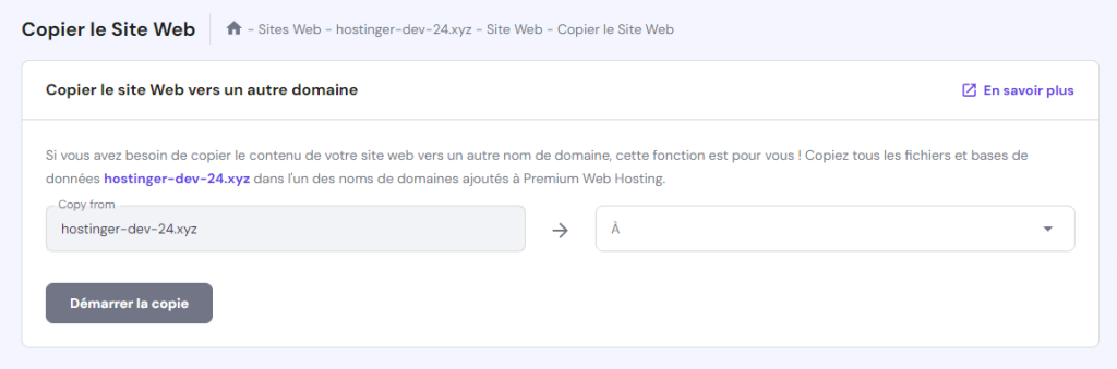 Les paramètres de Copie du site web dans hPanel