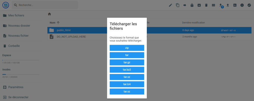 Le menu de téléchargement des archives dans le gestionnaire de fichiers de hPanel 