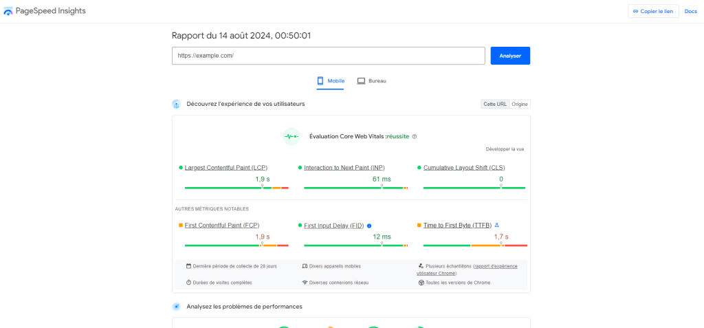 Le rapport de performance mobile sur PageSpeed Insights