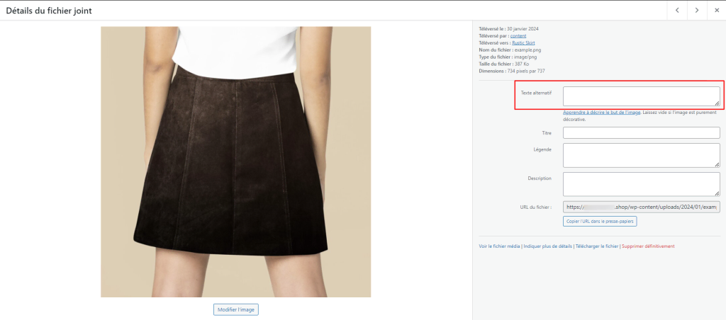Panneau de la médiathèque WordPress, mise en évidence du champ texte alternatif