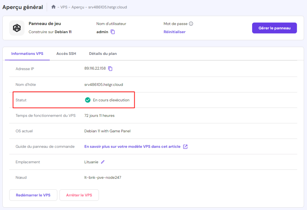 Vérifier l'état du serveur dans l'onglet d'information VPS de hPanel