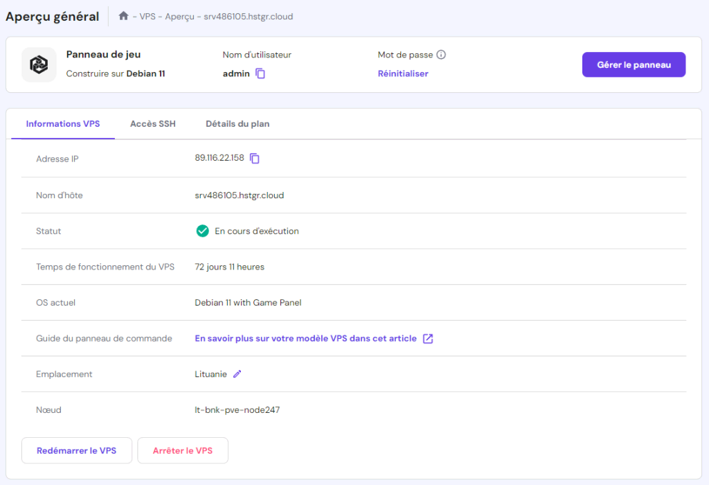 Menu d'information VPS dans hPanel