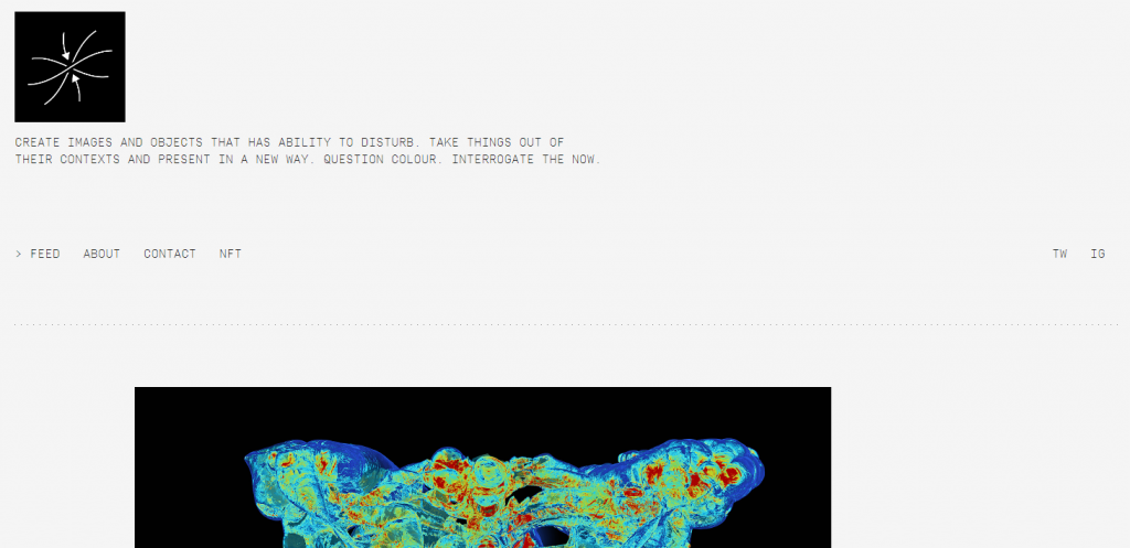 Une capture d'écran du site Web de Savas Ozay avec une palette de couleurs monochromatiques.