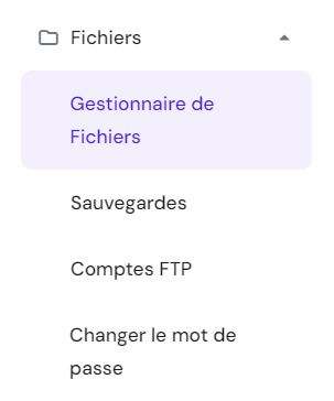 Accès au Gestionnaire de fichiers dans la section Fichiers de votre hPanel