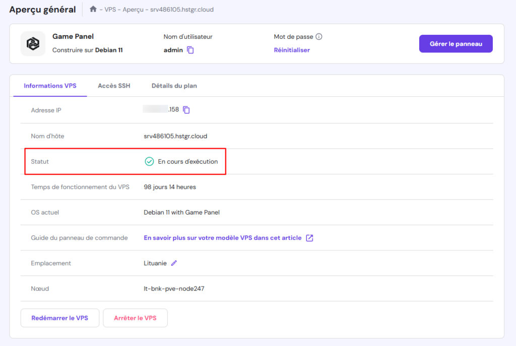 S'assurer que le statut du VPS est en cours d'exécution dans le VPS de hPanel