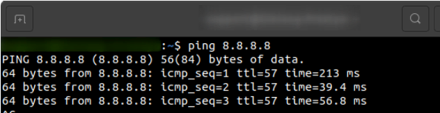 Exécuter la commande ping en utilisant Terminal sur Ubuntu
