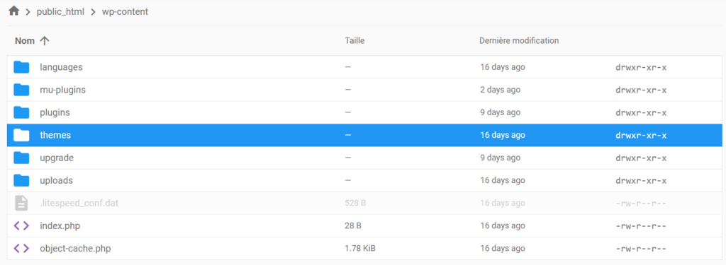 Le contenu du dossier wp-content, en mettant en évidence le dossier themes