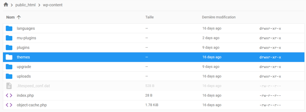 Le contenu du dossier wp-content, en mettant en évidence le dossier themes