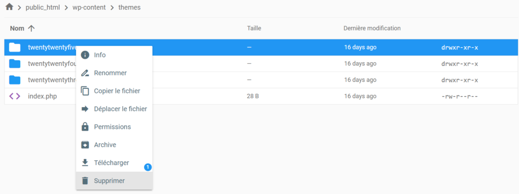Fichiers de thème dans wp-content, mise en évidence de l'option de suppression d'un dossier de thème