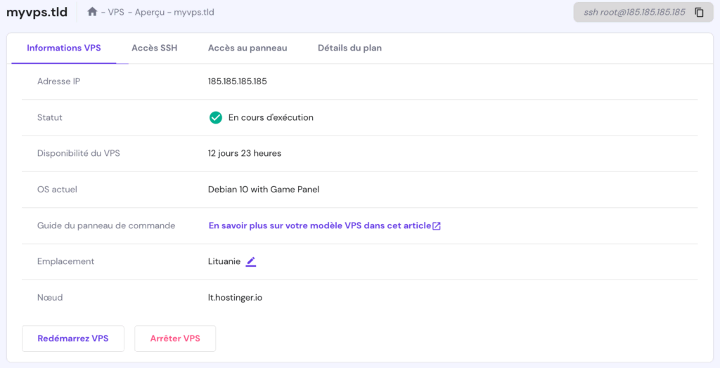 L'onglet Informations VPS sur hPanel