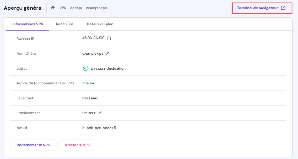 Le bouton du terminal du navigateur dans le VPS de hPanel