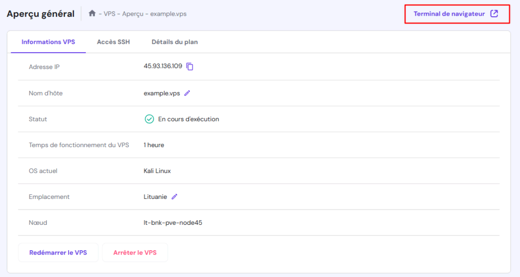 Le bouton du terminal du navigateur dans le VPS de hPanel