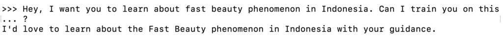 Terminal affichant la réponse d'un modèle Ollama à un message d'entraînement